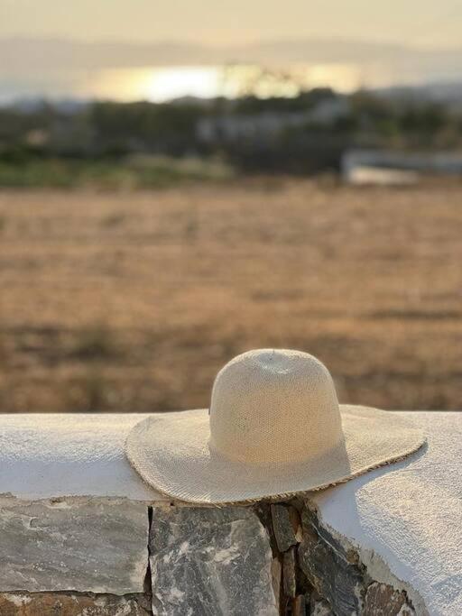 White Nadora Naxos Villa Agia Anna  Bagian luar foto